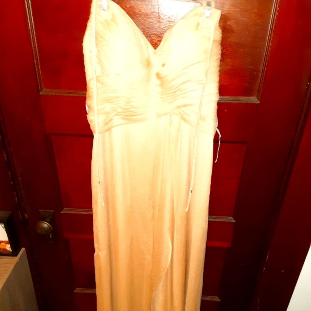 Size 14 Strapless Prom Dress